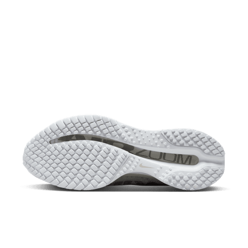 Nike - Pegasus Premium White/Metallic Silver